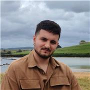 Profesor de Historia e Historia del Arte, presencial en Zaragoza y online